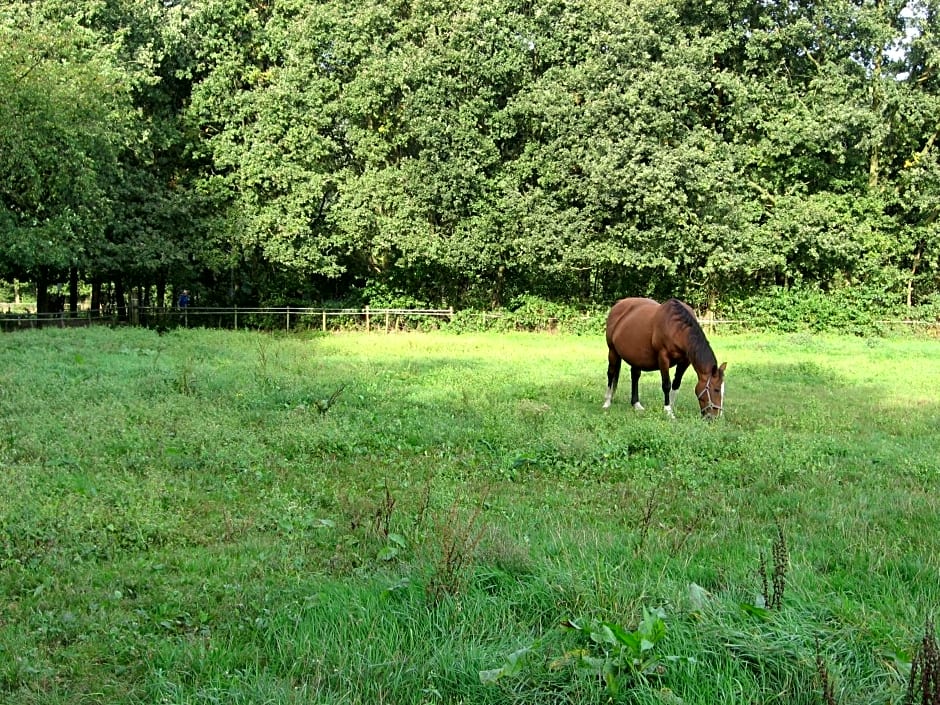 Rustpunt Groote Heide