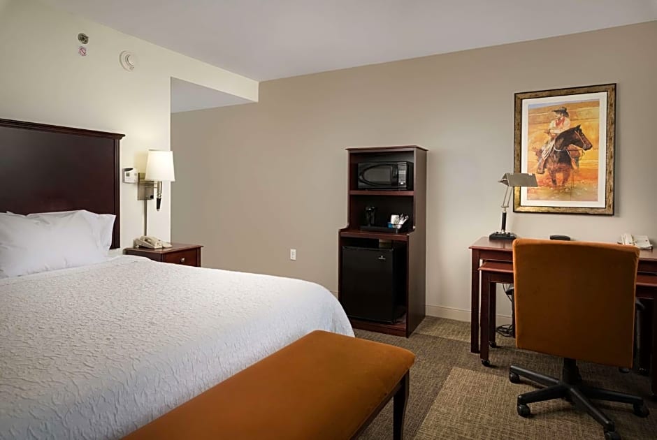 Hampton Inn By Hilton & Suites Altus