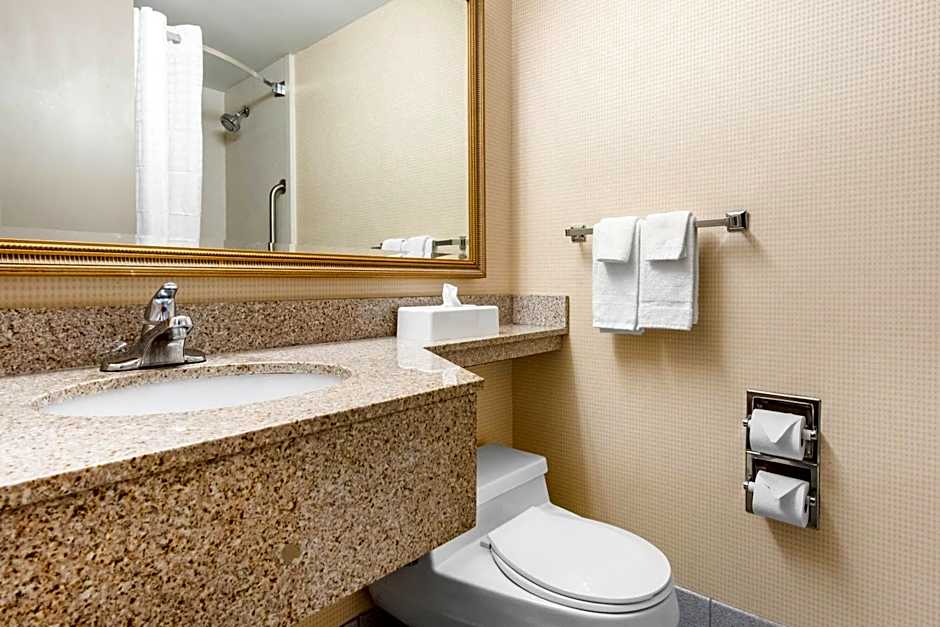 Quality Inn & Suites Charleston - Civic Center