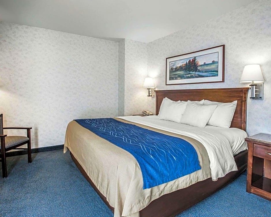 Comfort Inn Bellingham