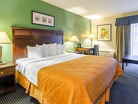 1 King Bed Nonsmoking