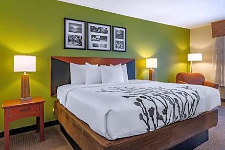 King Room with Roll-In Shower - Accessible/Non-Smoking