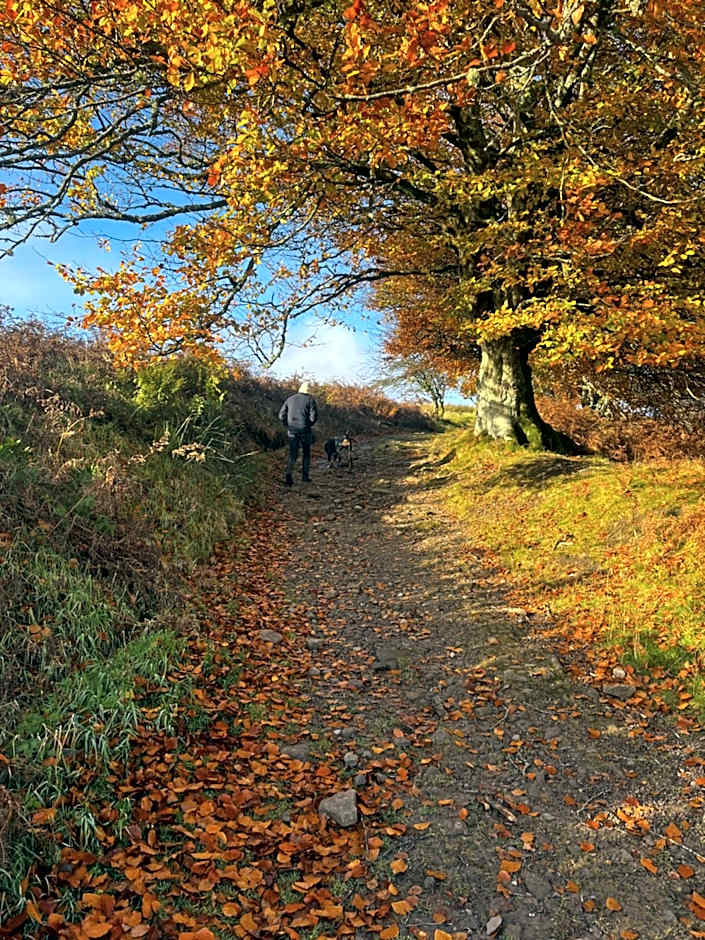 Stoneymollan over Loch Lomond