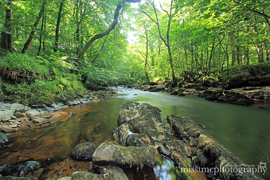 Dartmoor Reach Alpaca Farm