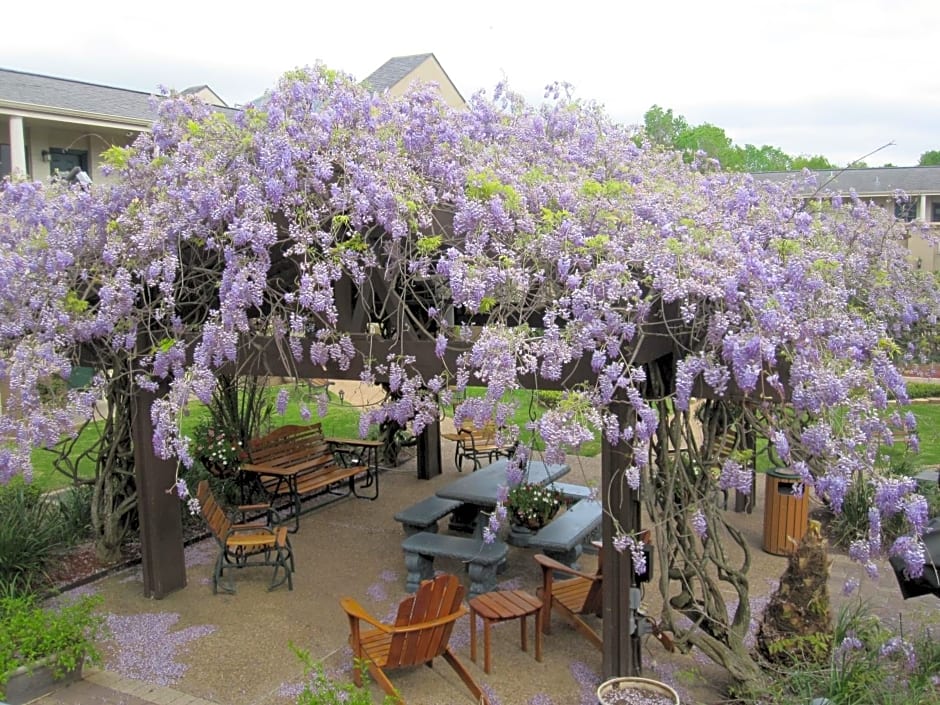 Vineyard Court Designer Suites Hotel