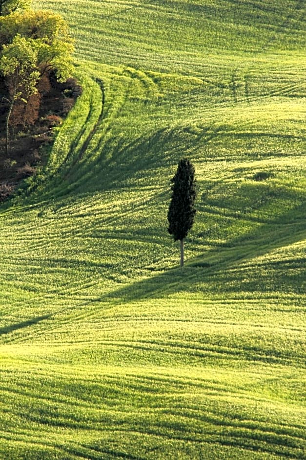 Il Paretaio