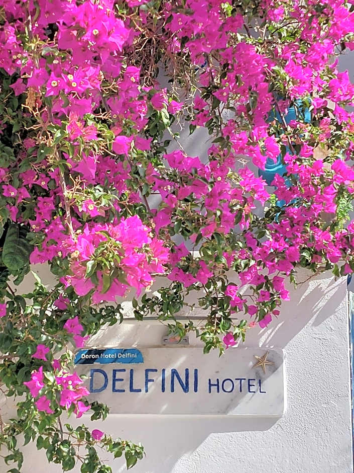 Doron Hotel Delfini