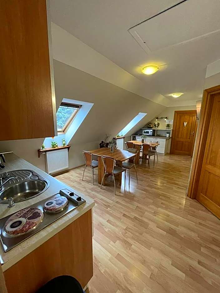 Villa Regina - Spokojna okolica - 100 metrów od lasu - blisko szpitala