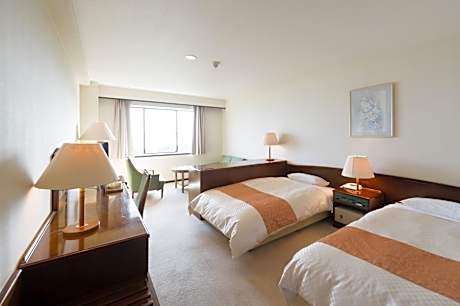 Deluxe Twin Room - Non-Smoking