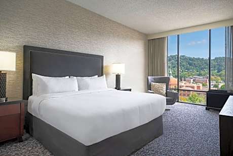 Renaissance Asheville Downtown Hotel