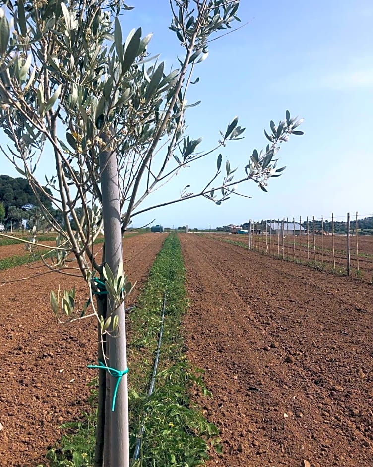 Agriturismo Donna Germana