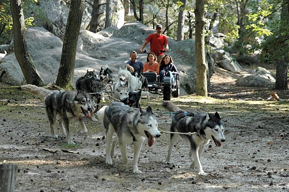 Les Prémices De La Forêt