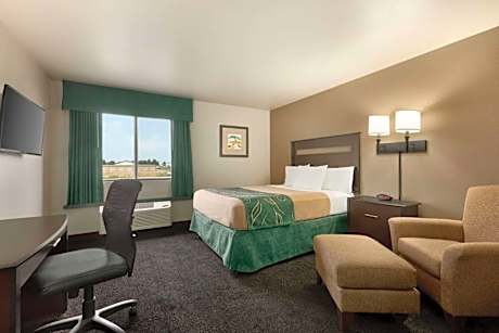 Queen Room - Mobility Access/Non-Smoking