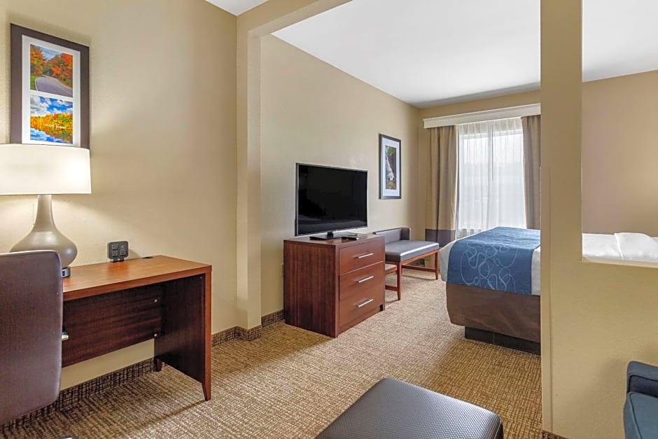 Comfort Suites At Rivergate Mall