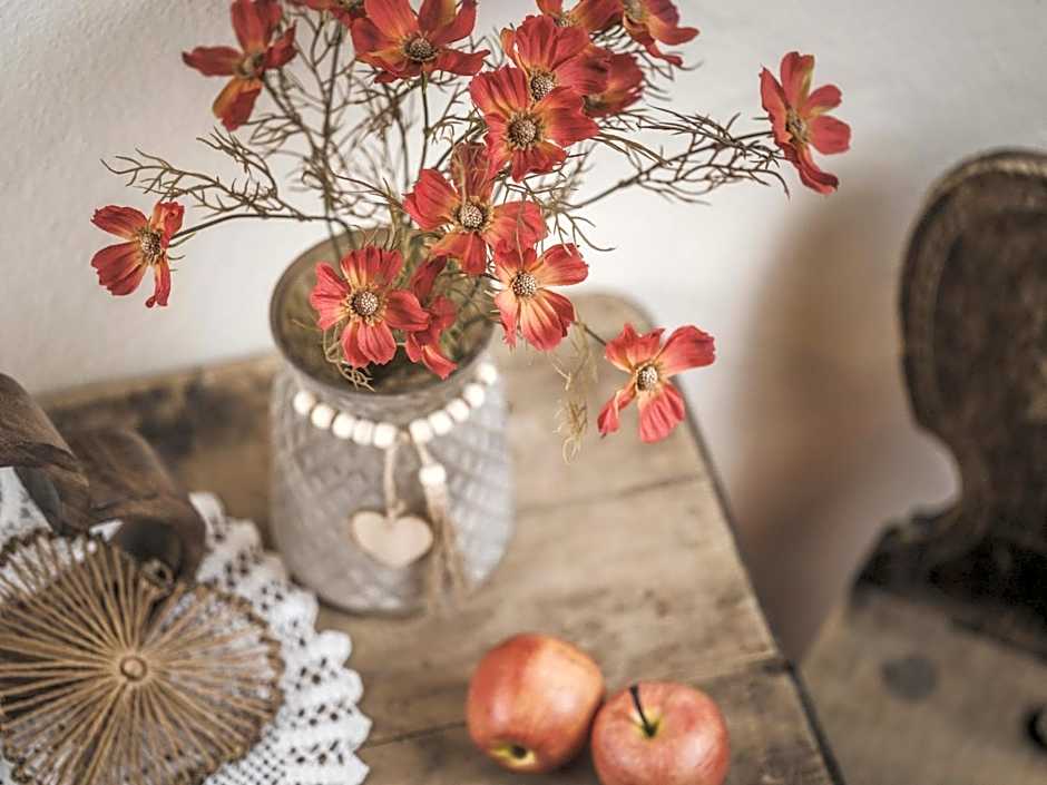 Apparthotel "Landhaus Veronika"