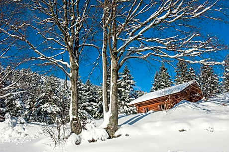Chalet (8 Adults)