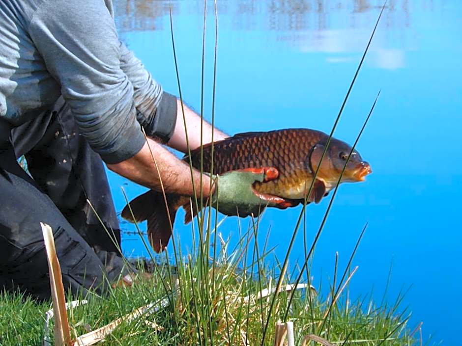 Balmoral Studio Lodge