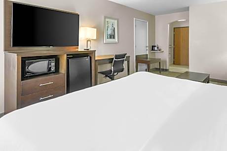 Accessible - Suite King Bed Mobility Accessible Walk In Shower Sofabed Non-Smoking Full Breakfast