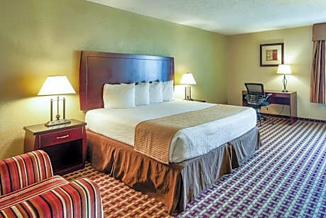 1 King Bed, Non-Smoking