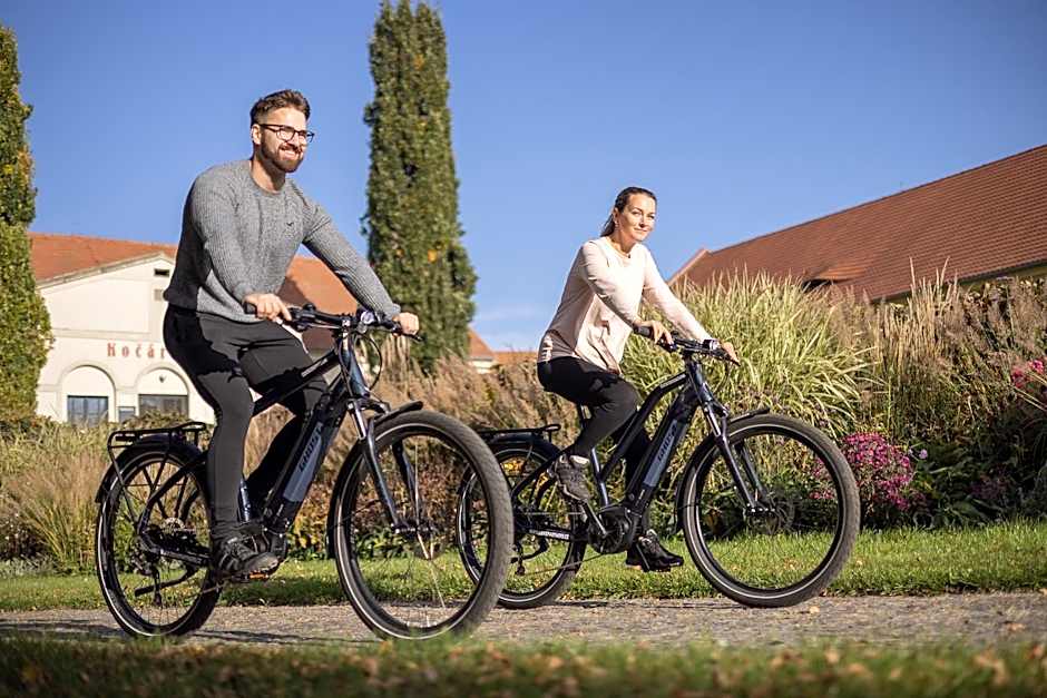 Pytloun Chateau Hotel Ctěnice