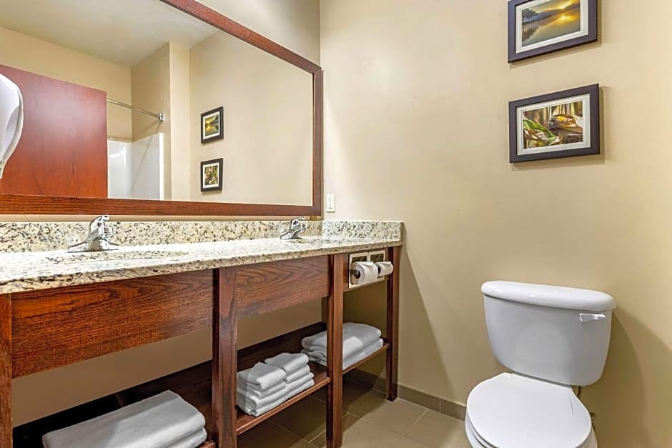 Comfort Inn & Suites Davenport - Quad Cities