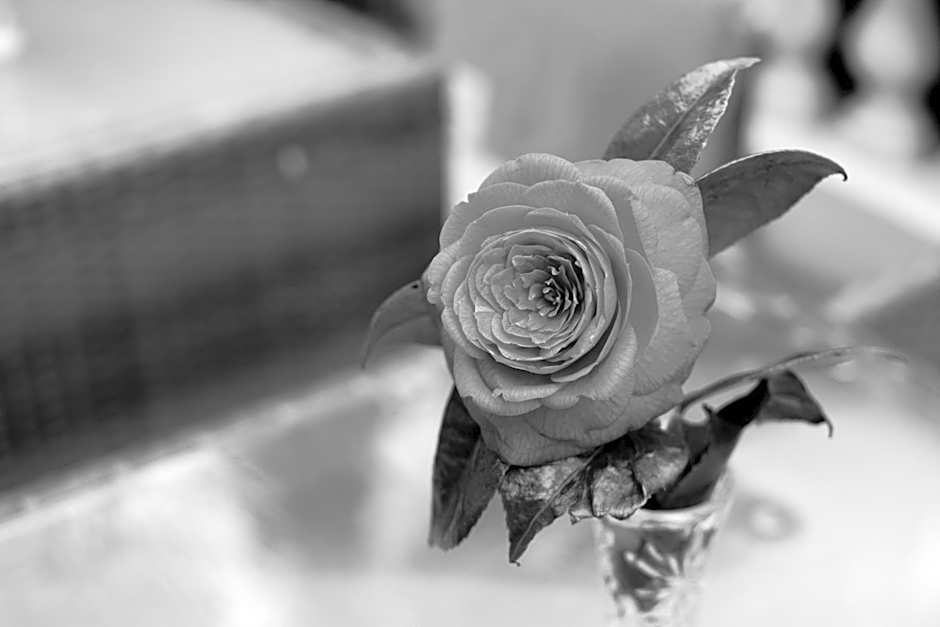 PEMBRIDGE PALACE HOTEL