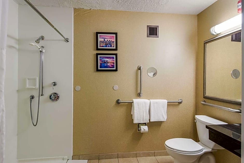 Comfort Inn and Suites Pittsburgh