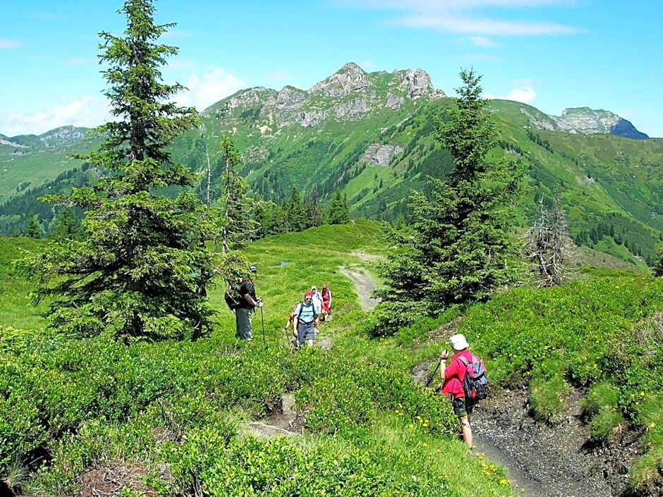 Landhotel Steindlwirt