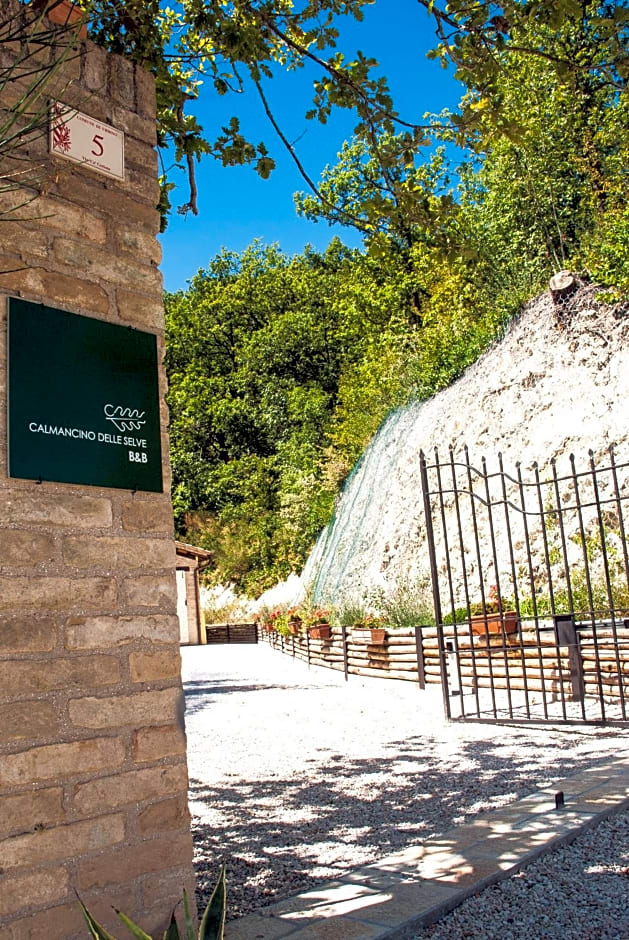 Calmancino delle Selve