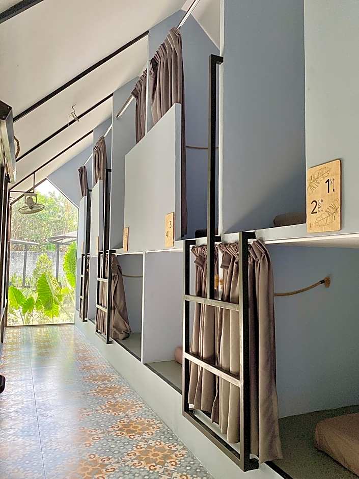 The Jungle Hostel Canggu