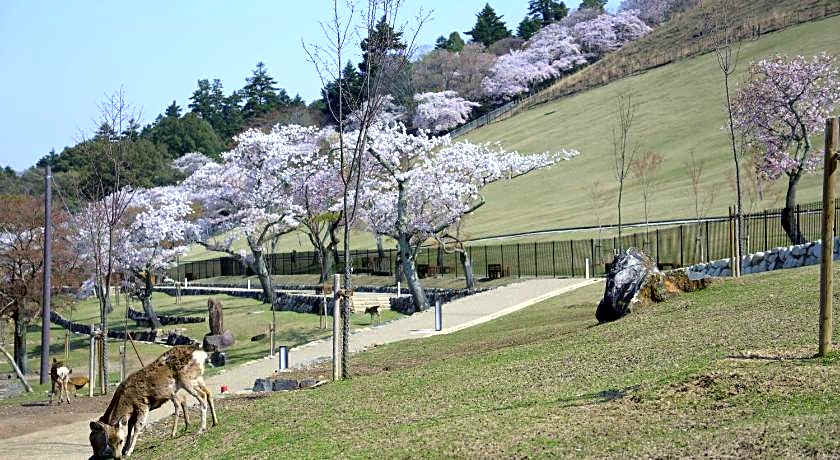 Mountain Home Lodge in Deer Park