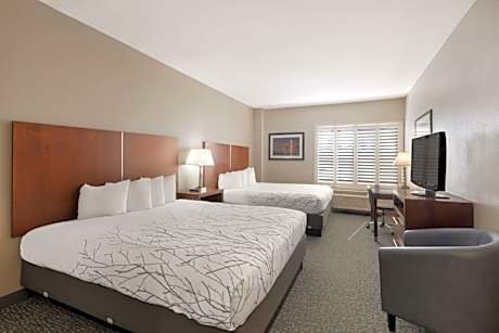 Queen Room with Two Queen Beds - Non-Smoking