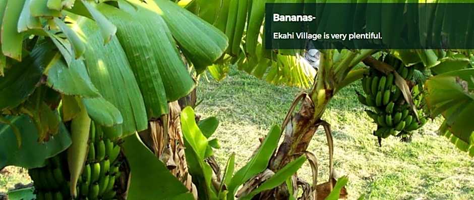 9B EKAHI VILLAGE-STUDIO BATH, GARDEN VIEW - 1 MINUTE STROLL to BEACH!