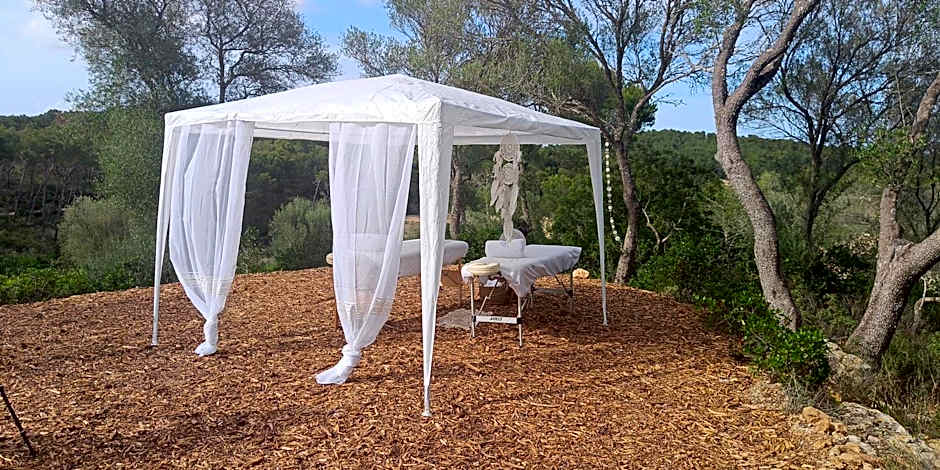 Fincahotel Treurer - Olive Grove & Grand House - Adults Only