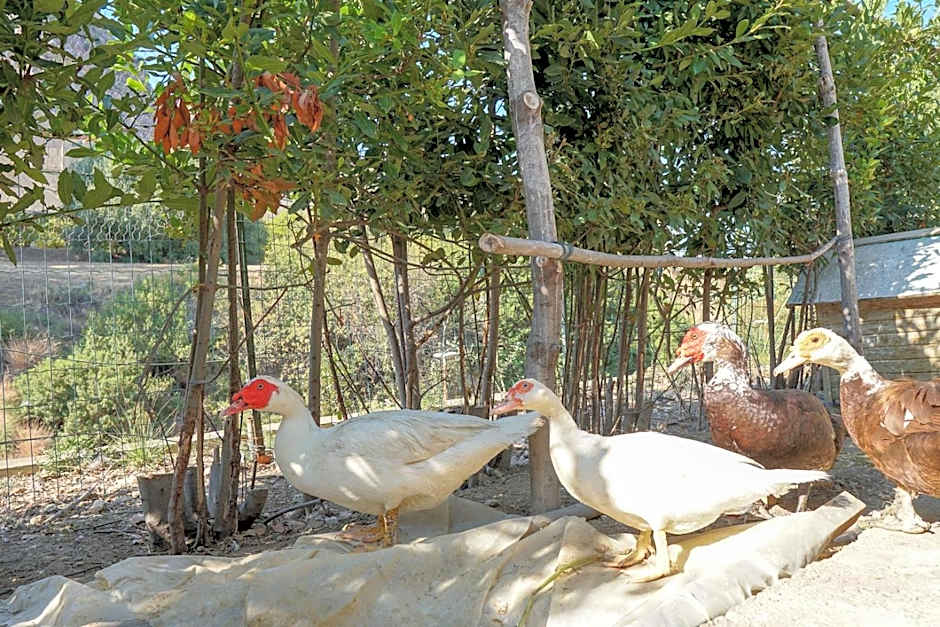 Villa Caterina - Solemar Sicilia