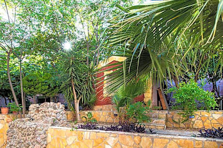 Single Room with Garden View