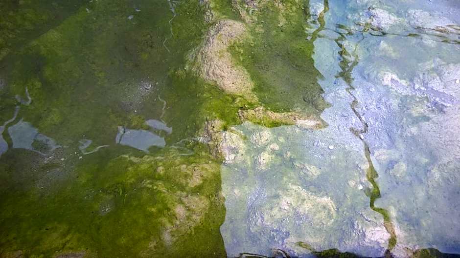 Hotel Terme Belvedere