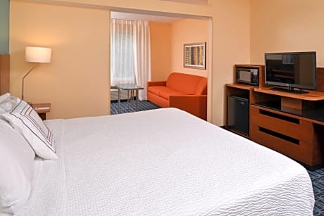 1 King Bed Non-Smoking