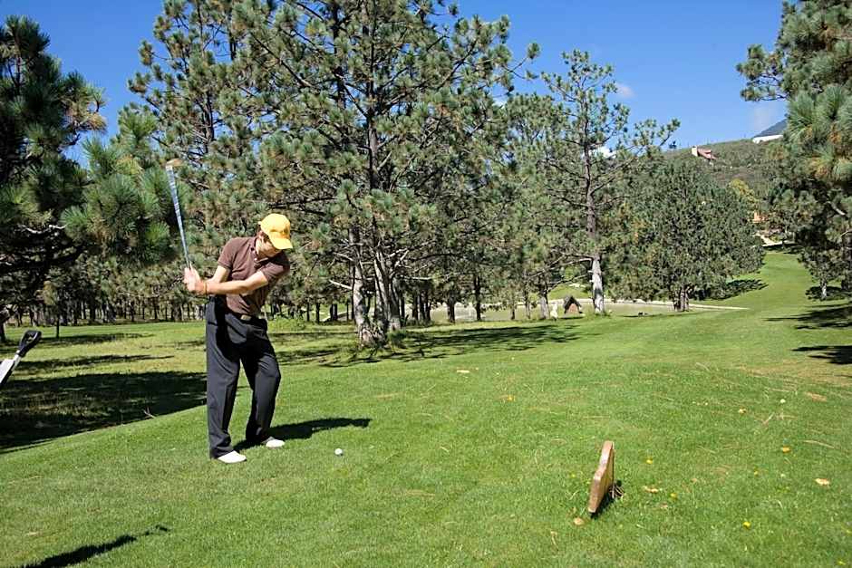 Bosques de Monterreal