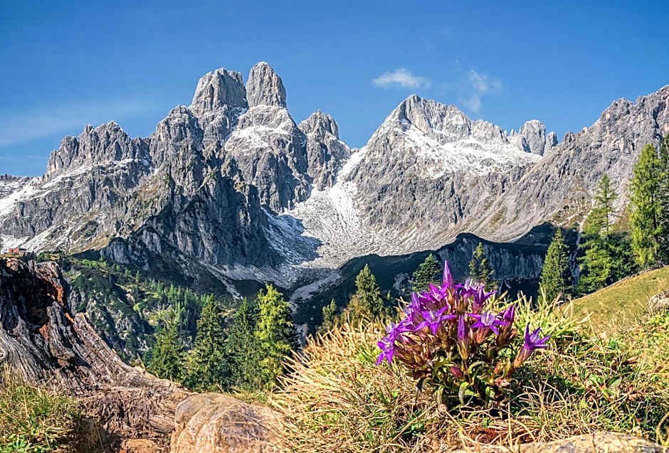 Hotel Alpenblick