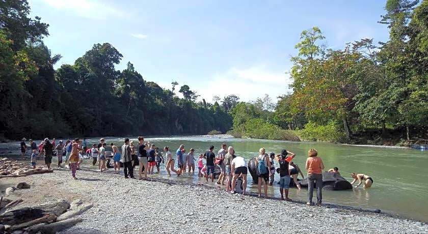 Green lodge tangkahan 