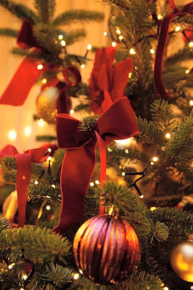 Hostellerie Du Chapeau Rouge