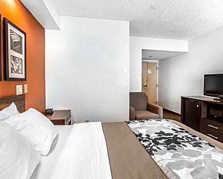 1 Queen Bed, Nonsmoking, Accessible