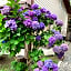 Orchid House near Vancouver YVR Airport