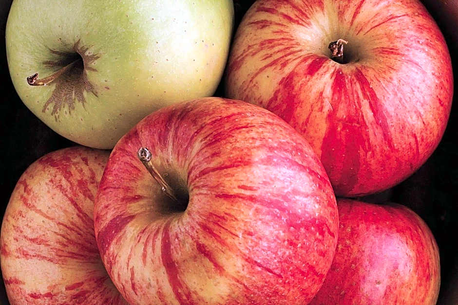 La Quinta Inn & Suites by Wyndham Terre Haute