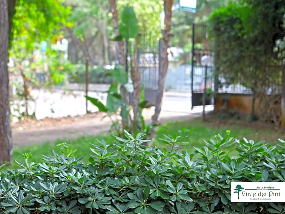 B&B Viale dei Pini