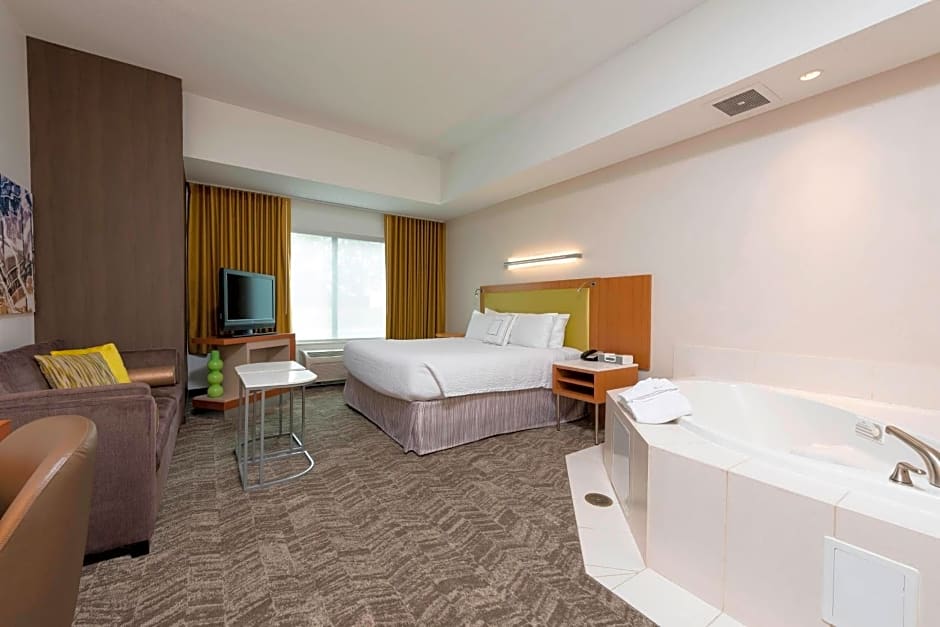 SpringHill Suites by Marriott Detroit Auburn Hills