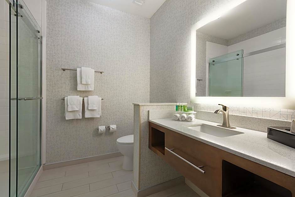 Holiday Inn Express & Suites Edinburg- Mcallen Area By IHG