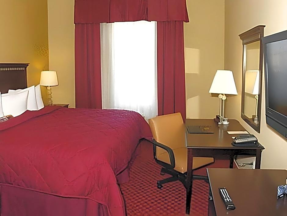 Comfort Inn & Suites Maingate South