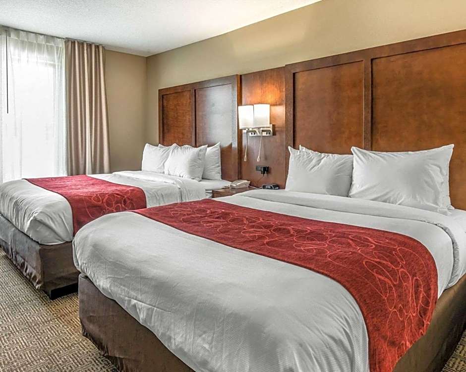 Comfort Suites Dunnellon near Rainbow Springs